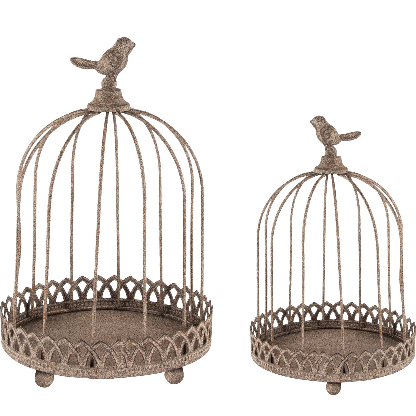 Käfige mit Zopf & Vogel