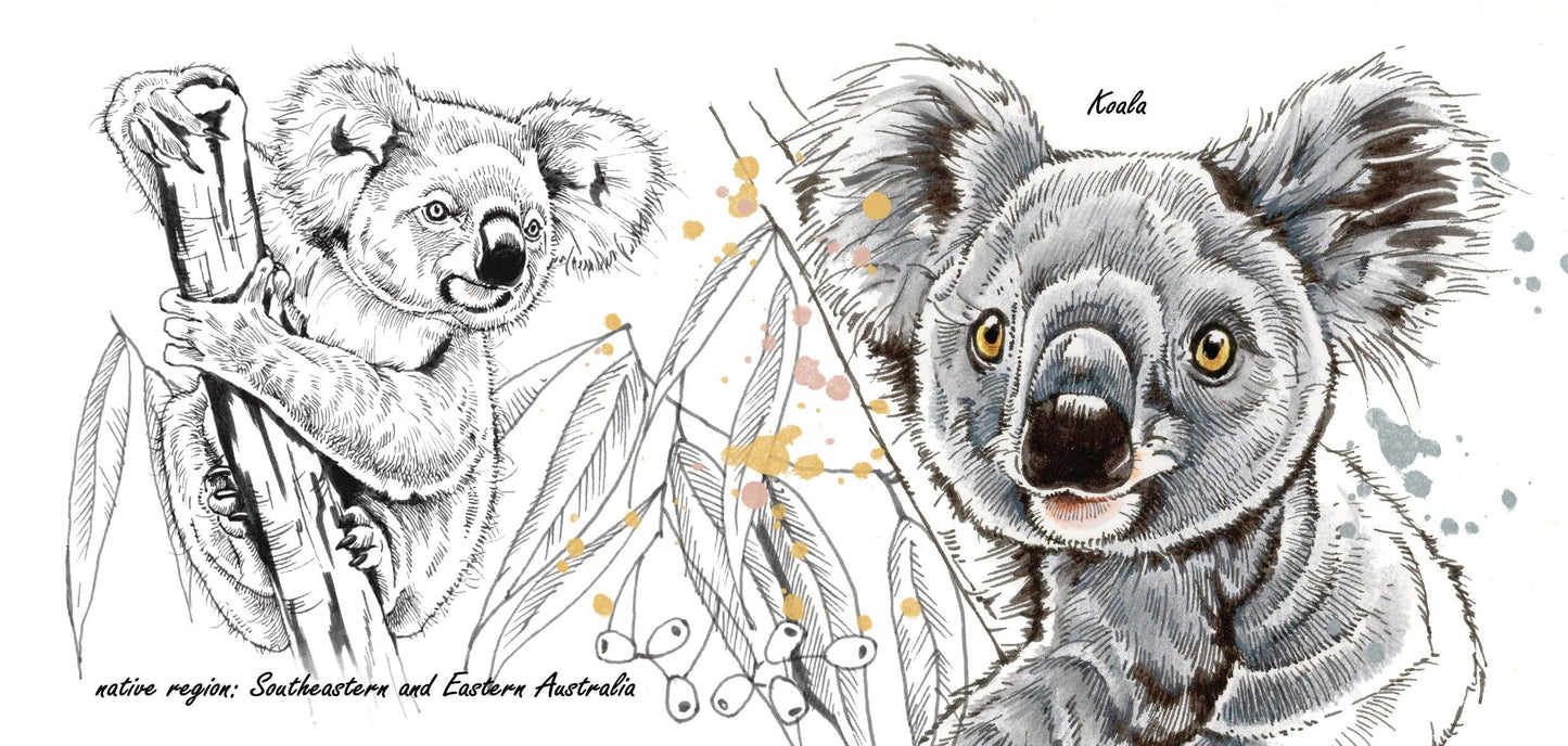 Becherserie Wildlife - Koala
