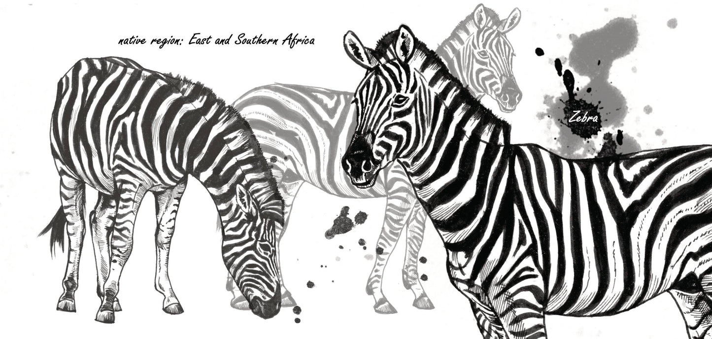 Becherserie Wildlife - Zebra