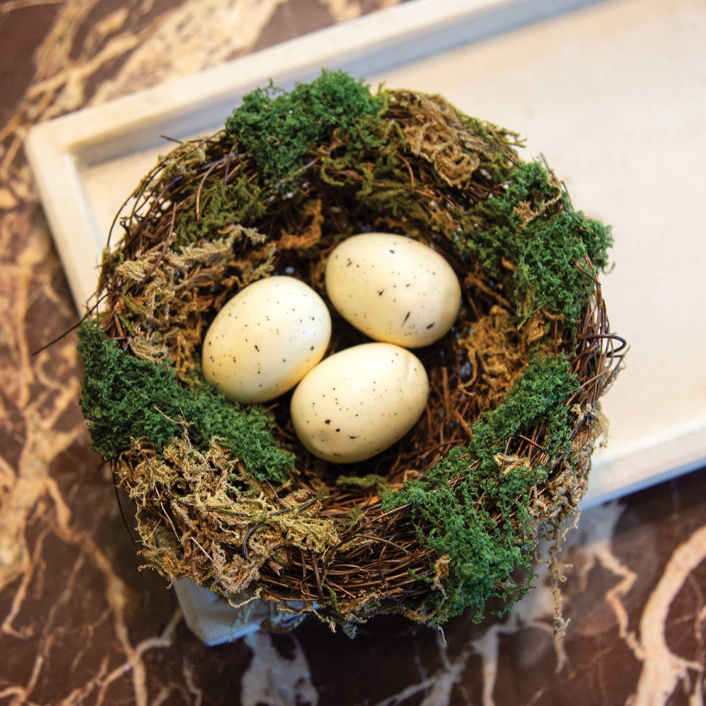 Üppiges moosiges Vogelnest mit weiß gesprenkelten Eiern