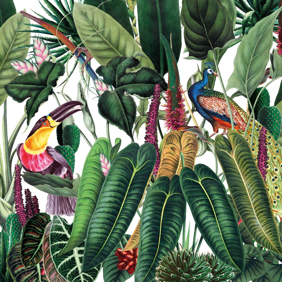 Porzellan Teebecher TEAEVE "Rainforest"