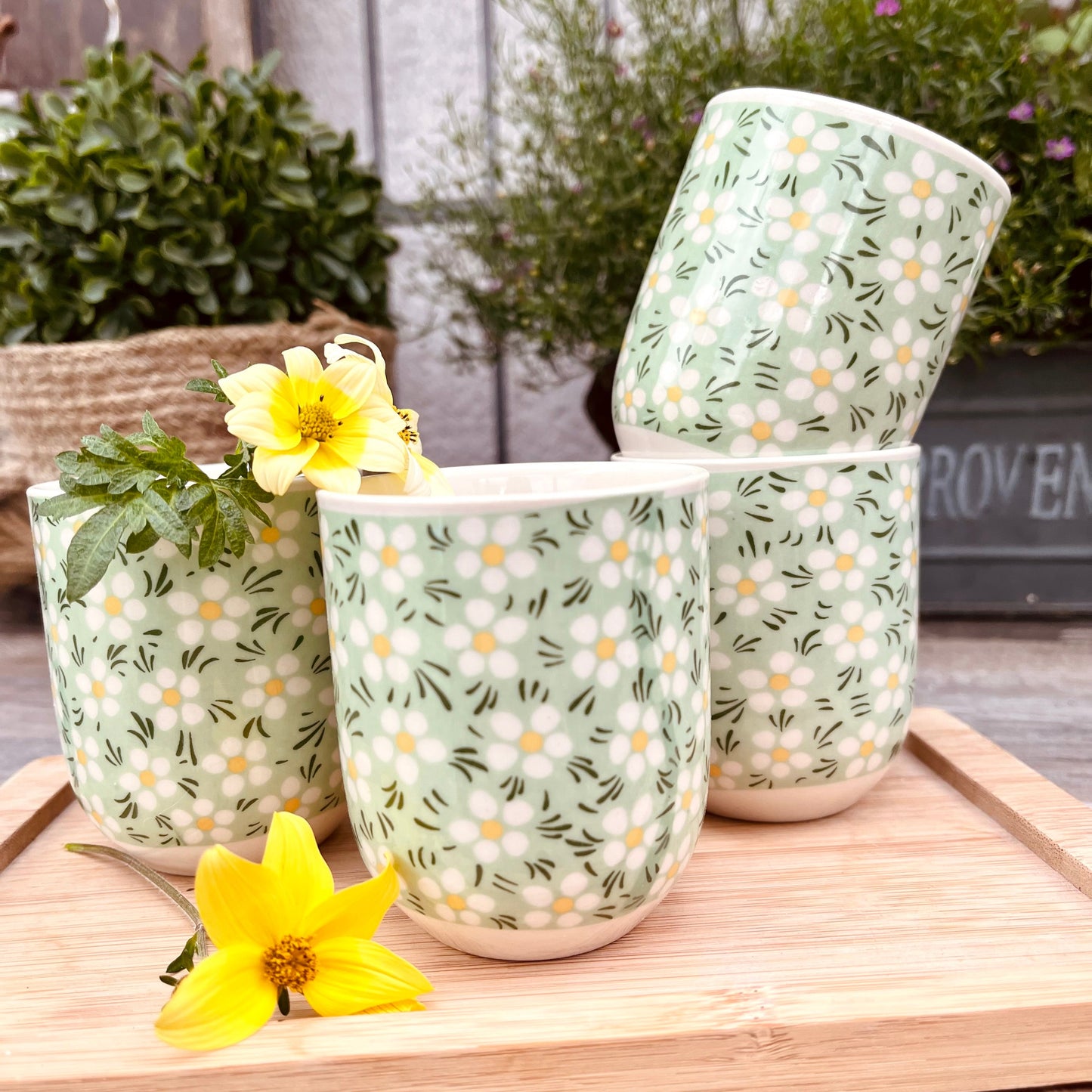 SPAR-SET: Espresso Cup Porzellanblume 4 St.