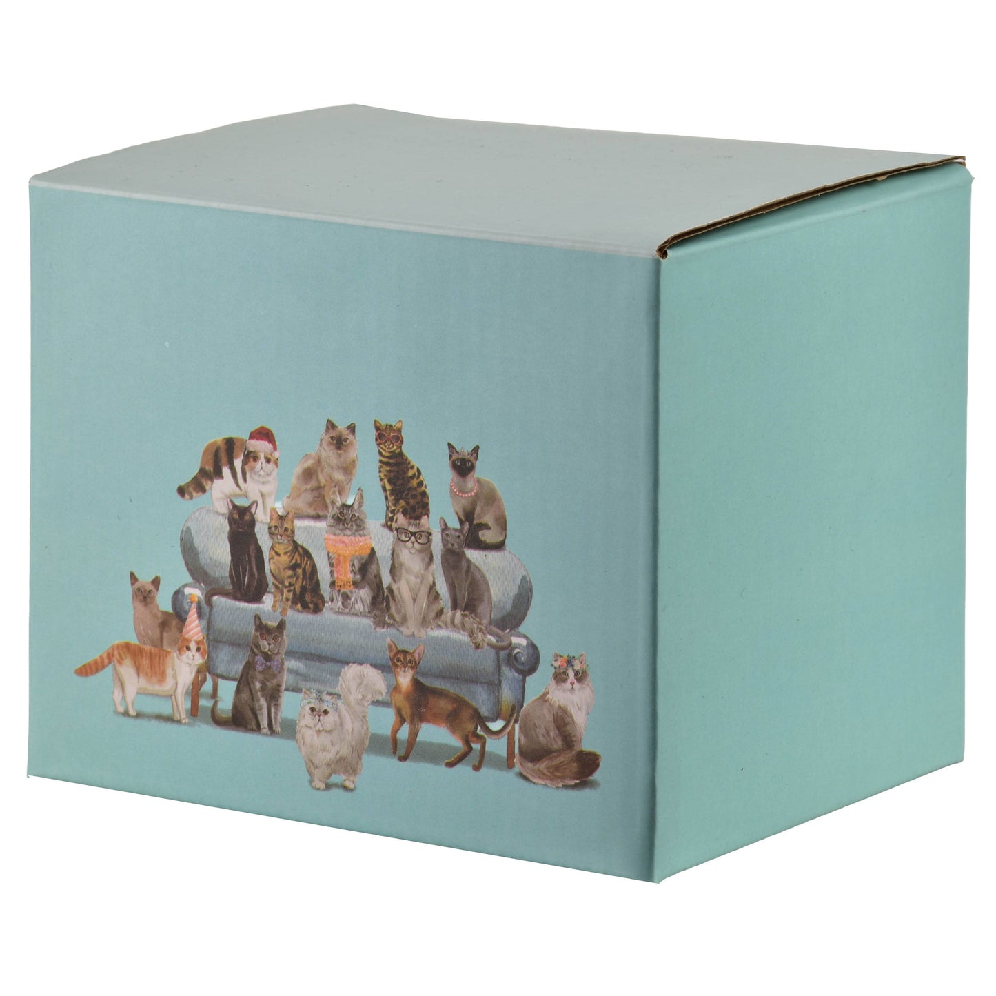 Becher JULES: BLU