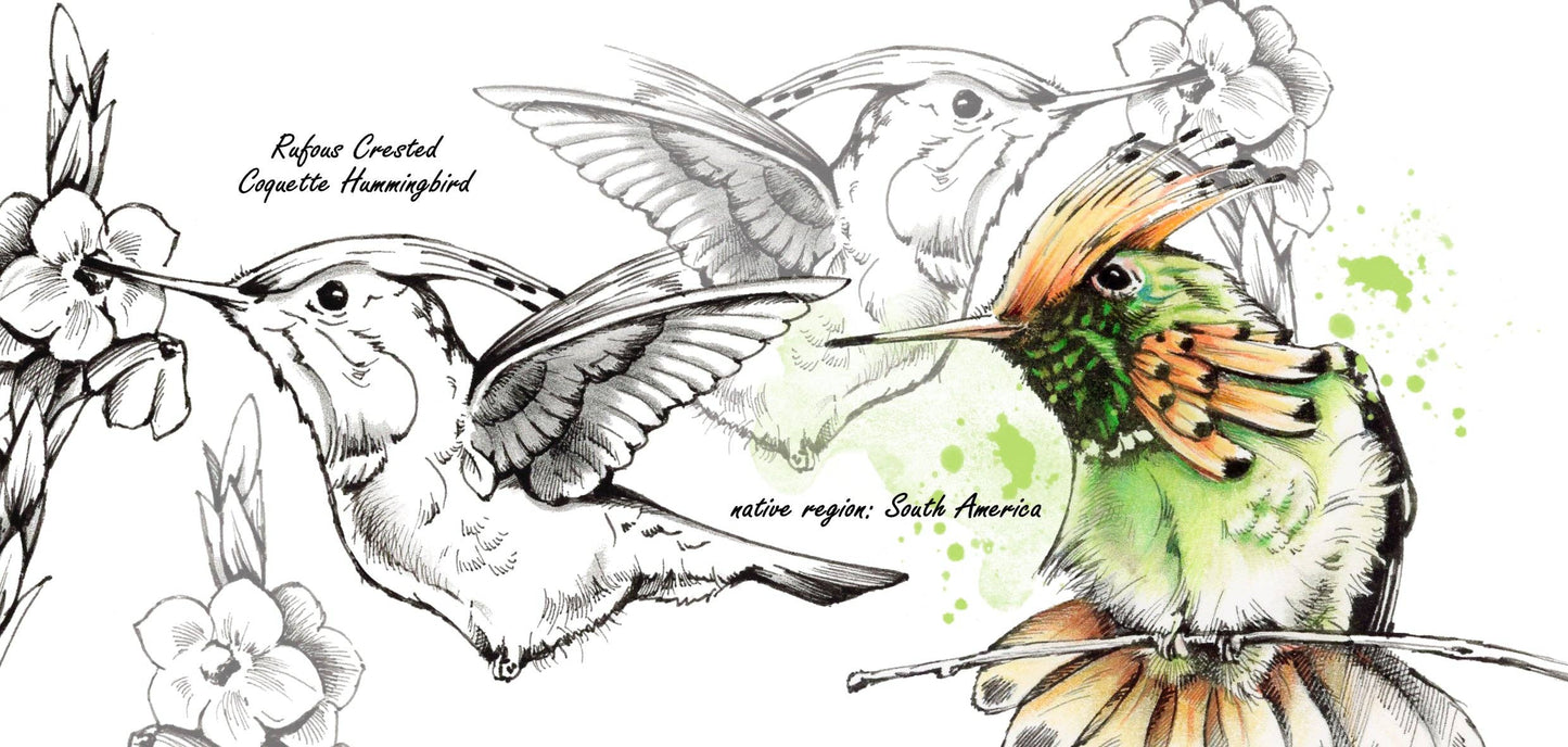Becherserie Wildlife - Kolibri