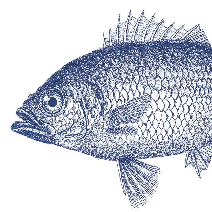 Servietten Fish Marine 33X33cm