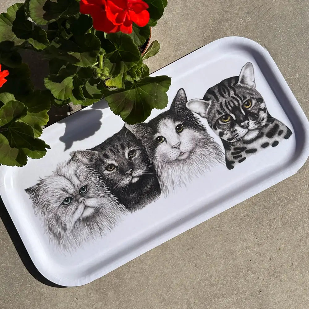 Katzen - Tablett 43 x 22 cm