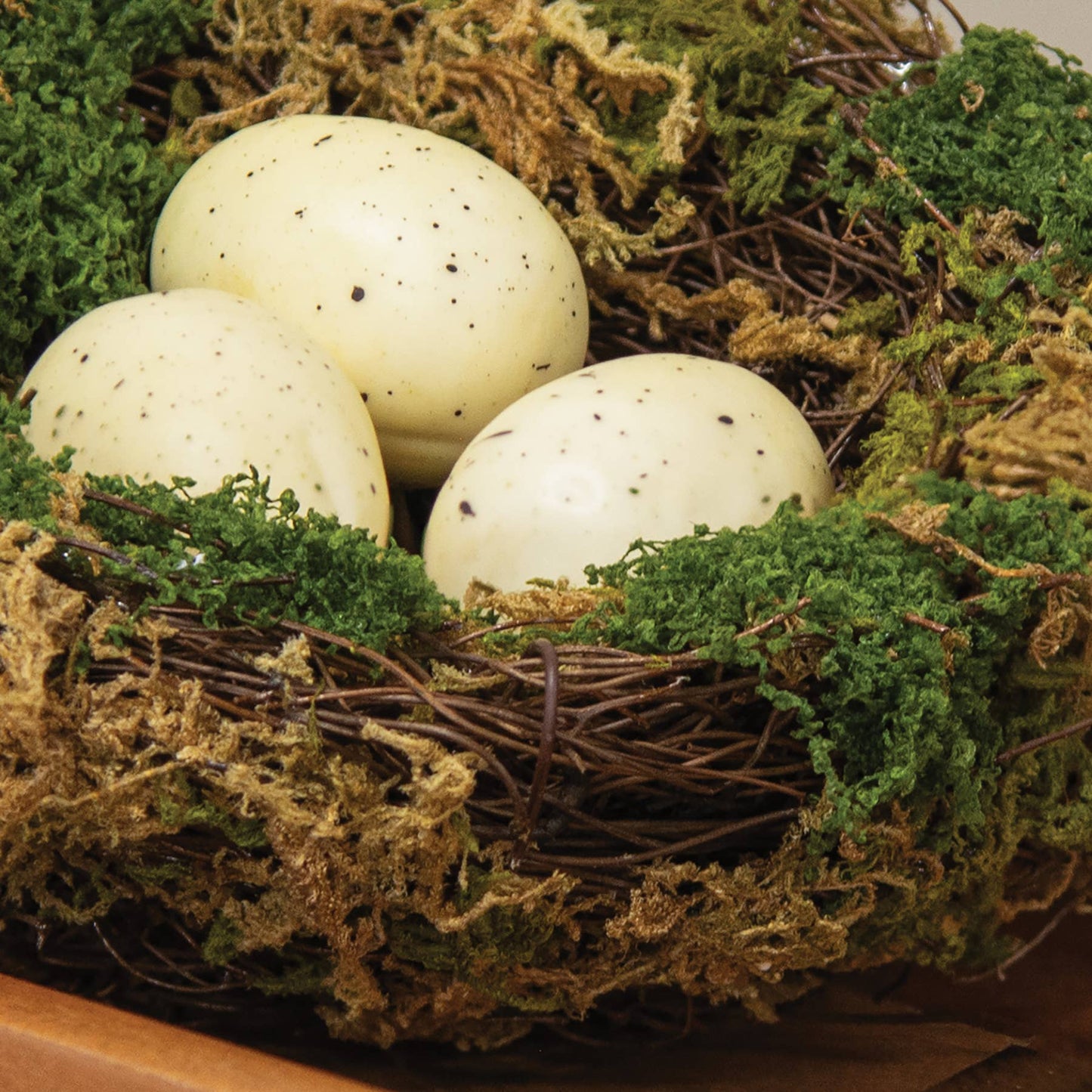 Üppiges moosiges Vogelnest mit weiß gesprenkelten Eiern