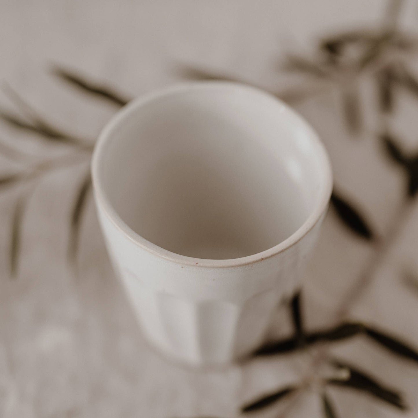 SPAR-SET: Becher Colina