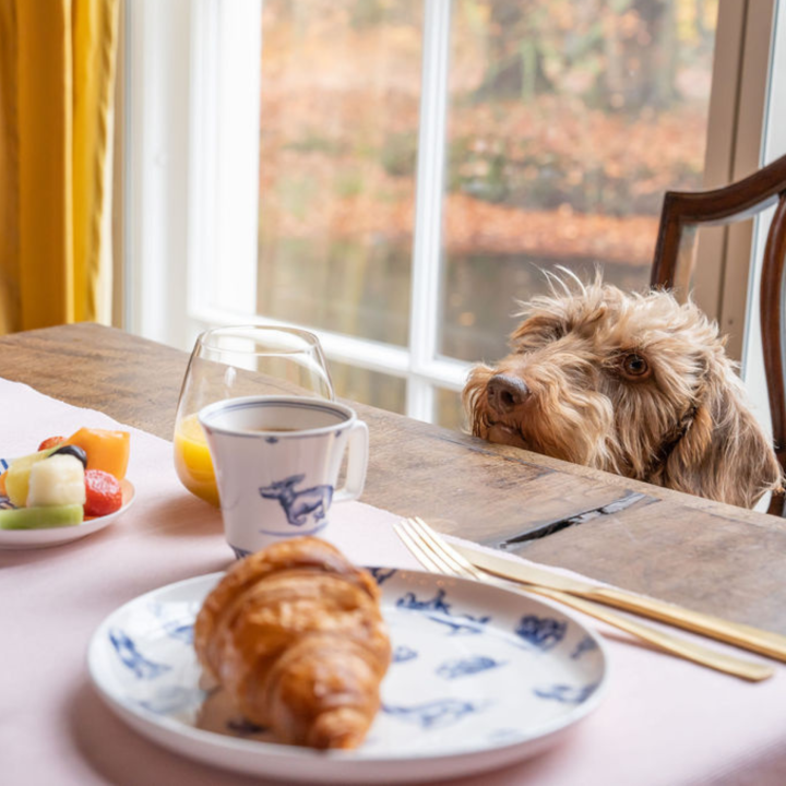 Frühstücksteller Dachshund Nhaan