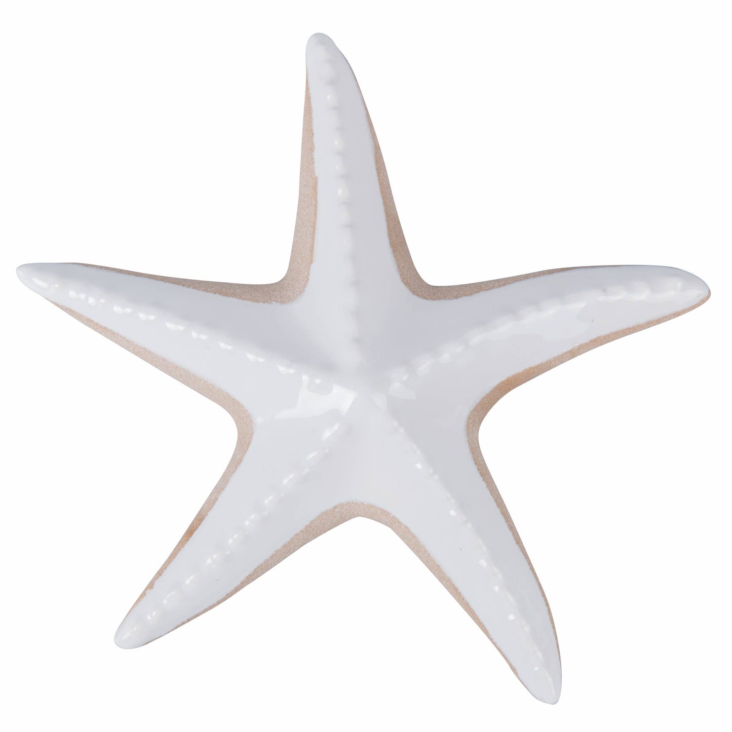 Seestern