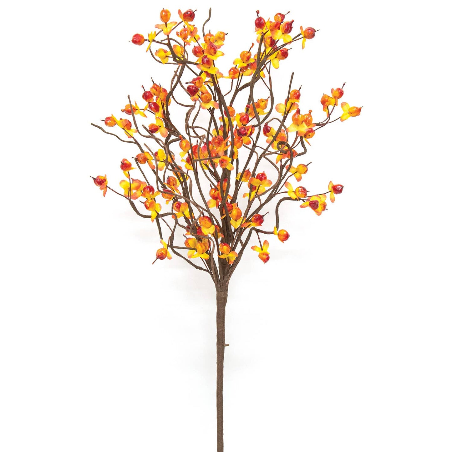 Bittersüßes Beerenspray, 45 cm