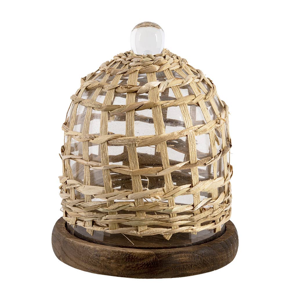 Cloche, Glasglocke auf braunem Holz