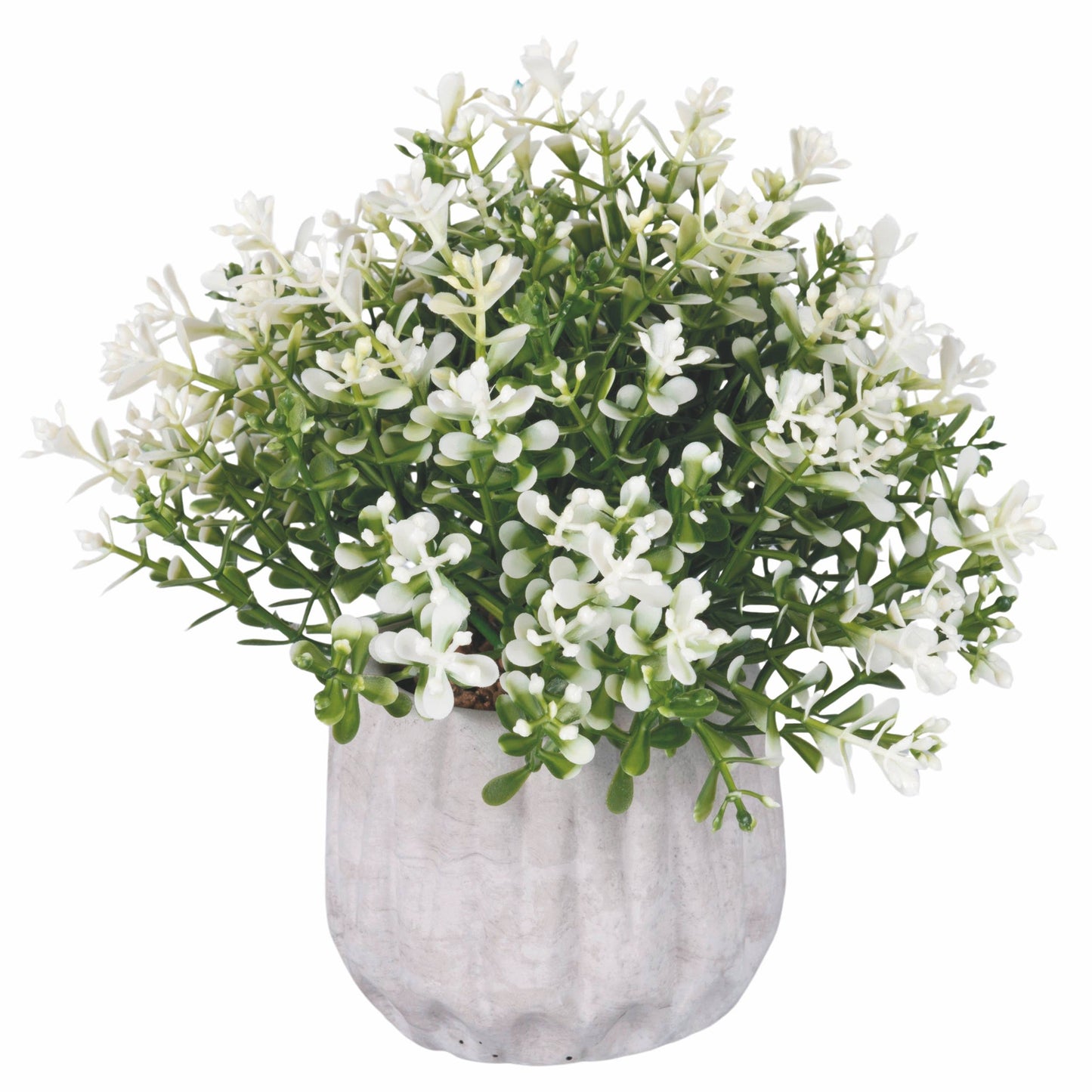 Pflanze Weiße Blüten, künstlich