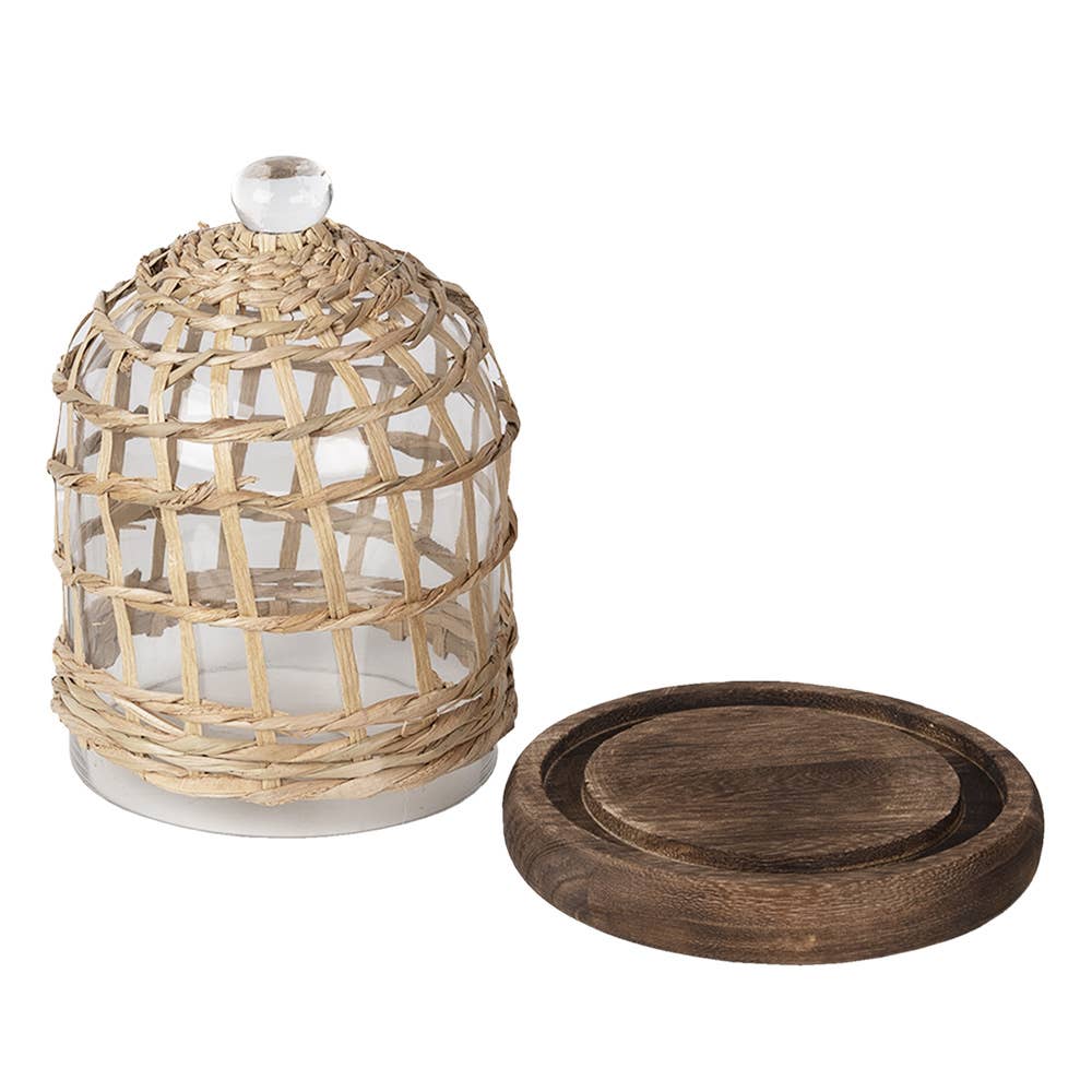 Cloche, Glasglocke auf braunem Holz