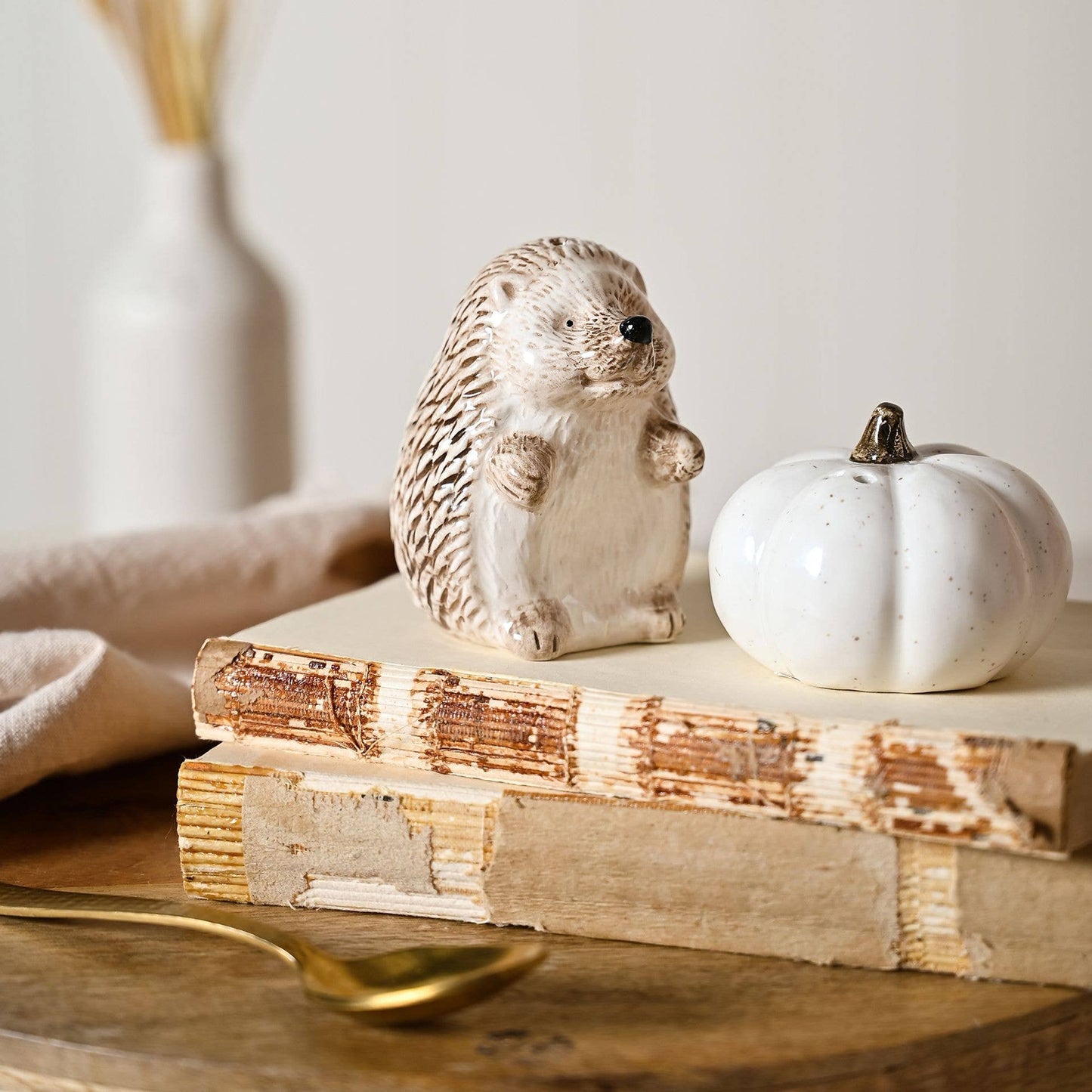 Country Living Salz- und Pfefferstreuer-Set Igel und Kürbis