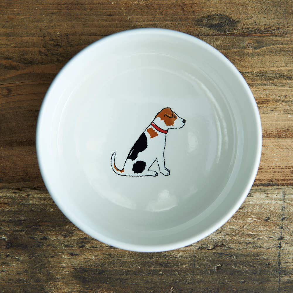 Hundenapf – Jack Russell