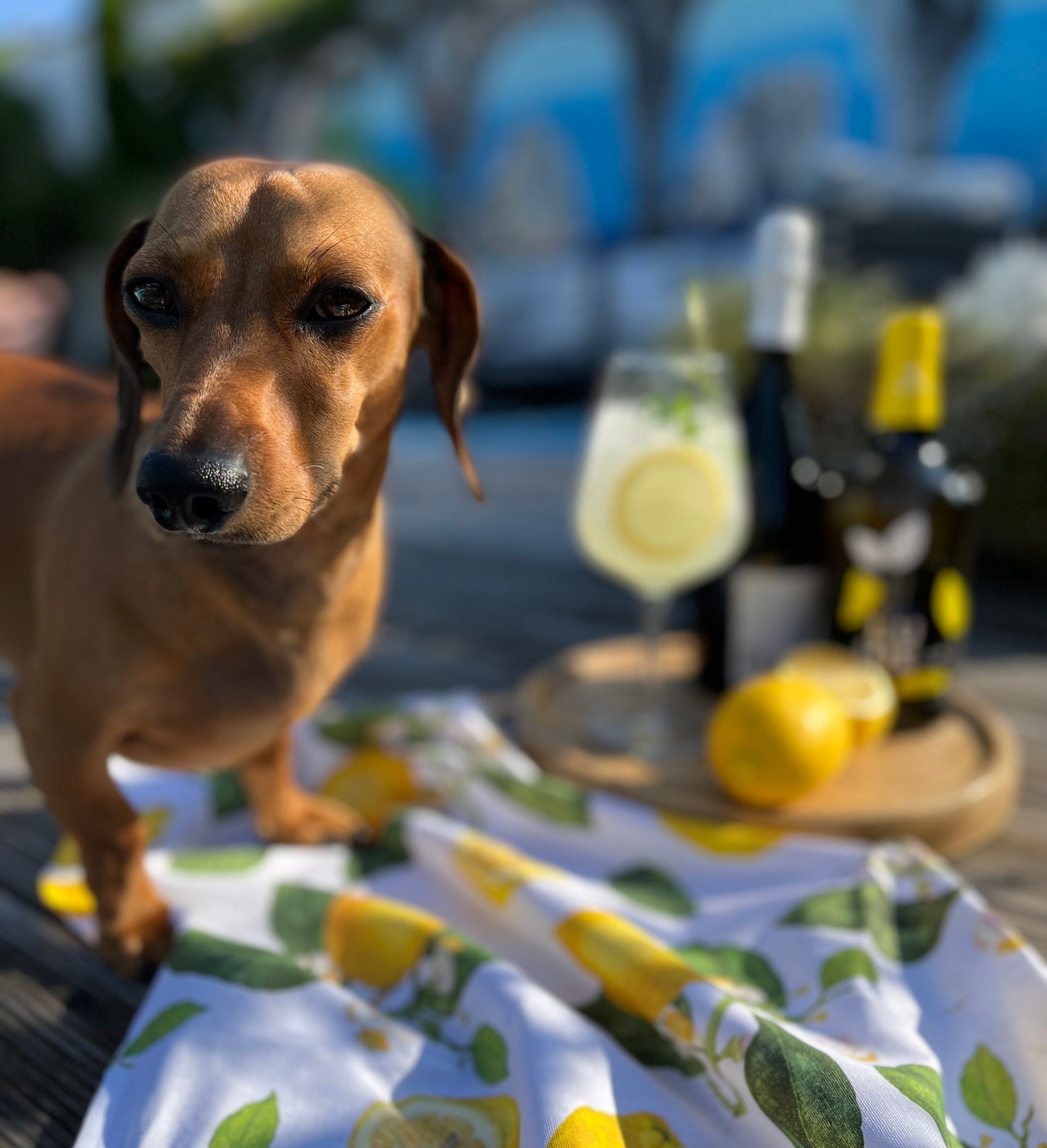 🍋 Limoncello di Sicilia - Authentisch & Handgefertigt