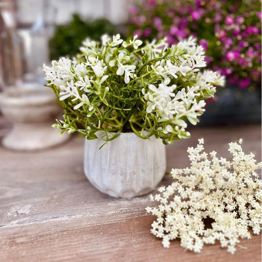 Pflanze Weiße Blüten, künstlich