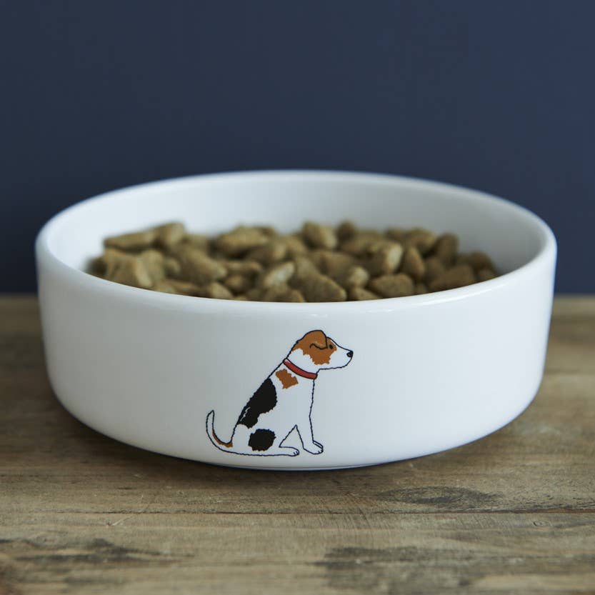 Hundenapf – Jack Russell