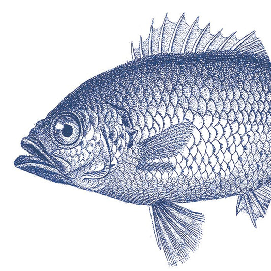Servietten Fish Marine 33X33cm