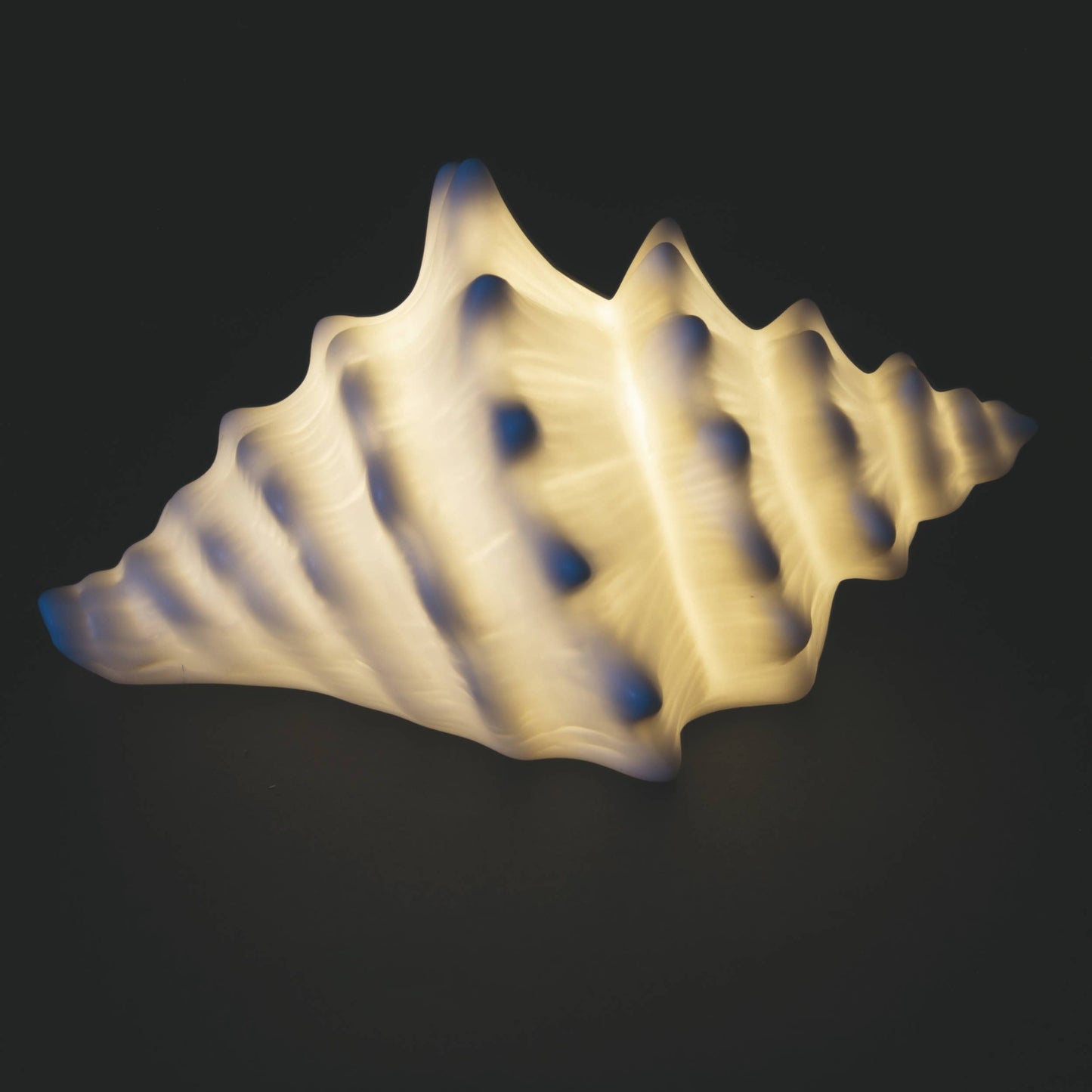 Ocean Conchiglia Led 15x10,5x8,2CM